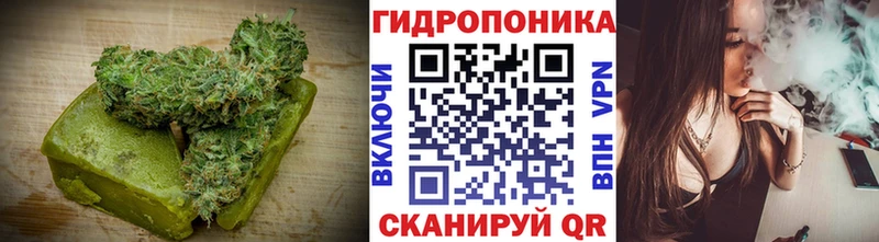 Еда ТГК конопля  ссылка на мегу ТОР  Сусуман 