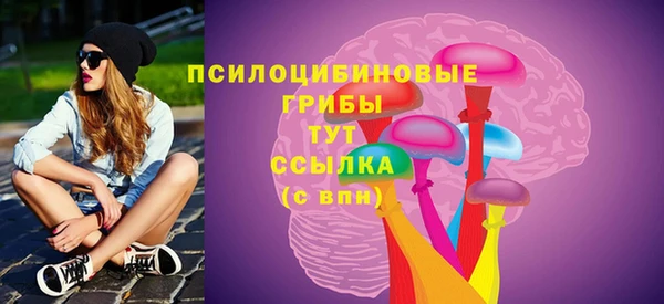 МДПВ Семилуки