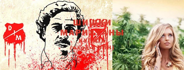 мяу мяу мука Саяногорск